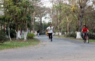 Recreation and Entertainment Image