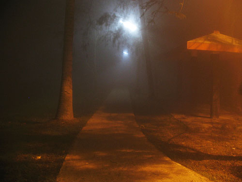 Foggy, IIM Calcutta