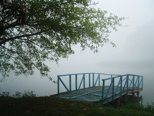 Foggy Joka