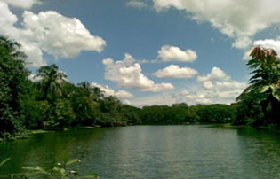 Campus Image