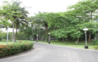 Campus Image
