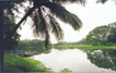 campus